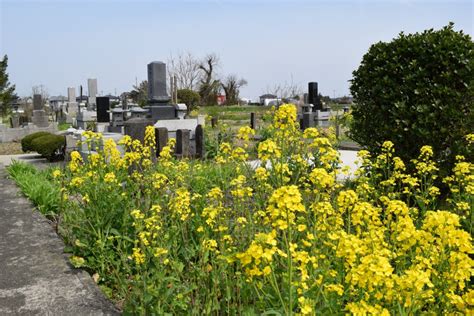 土葬墓地|土葬とは？日本ではどの地域で行われている？土葬の。